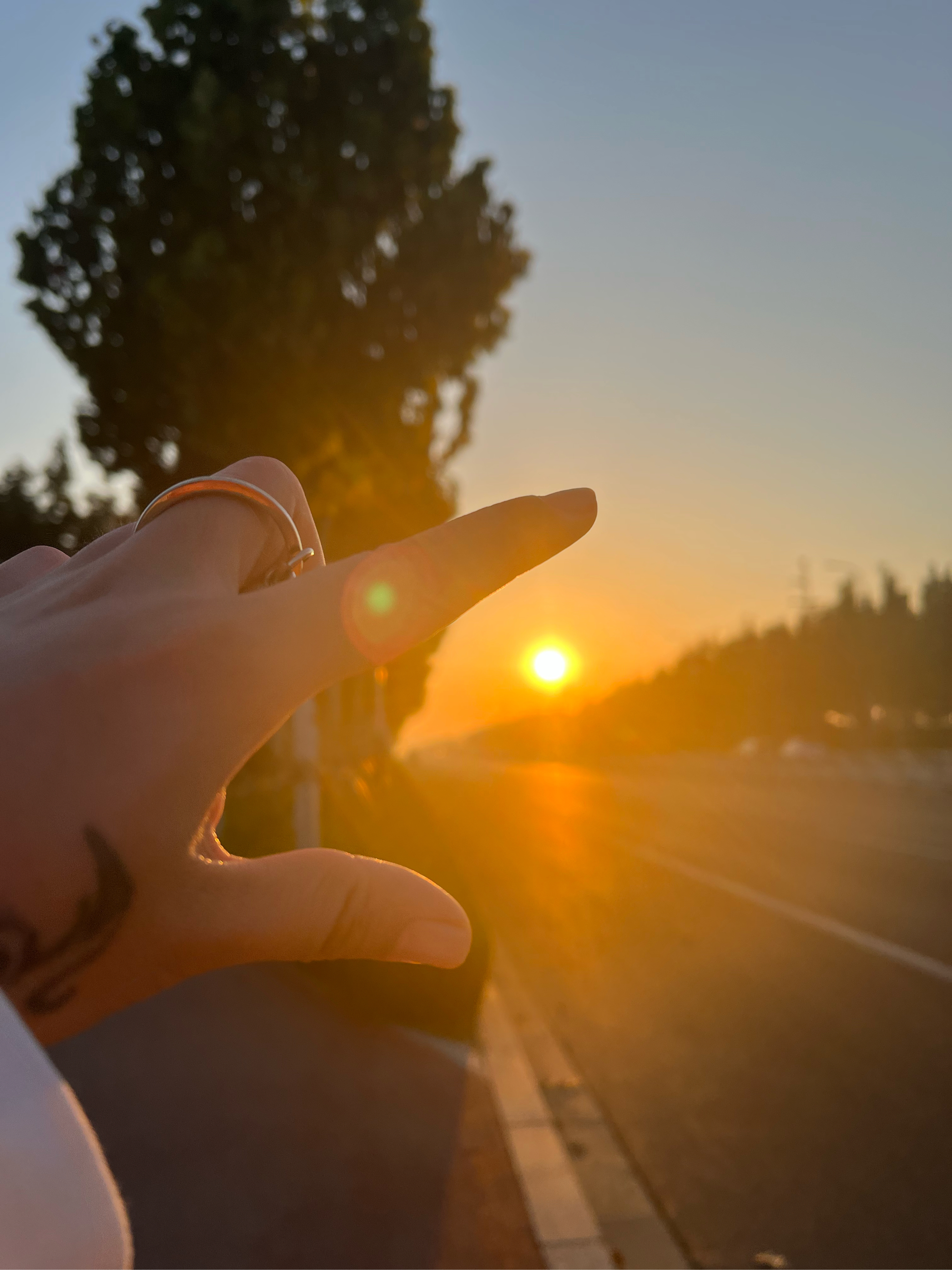 力争上游，争夺冠军的道路漫长而充满挑战.的简单介绍