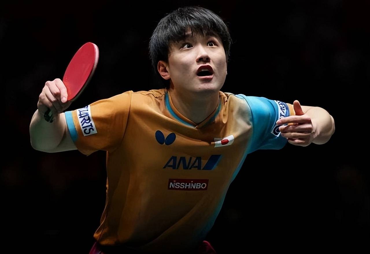 葡萄牙队鏖战法国队，张本智和扛起全队的简单介绍