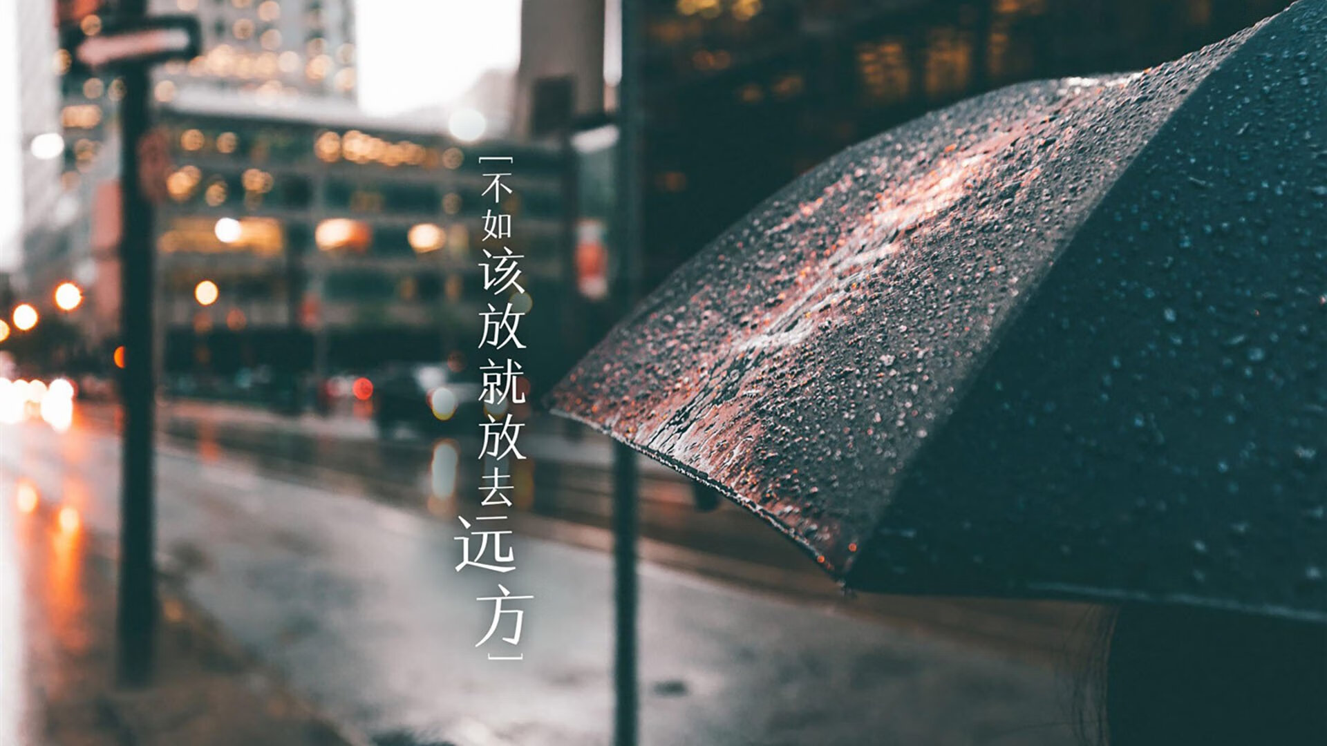 法老之矛与银蕨之盾,伊布连续得分拉开差距,埃及力克新西兰