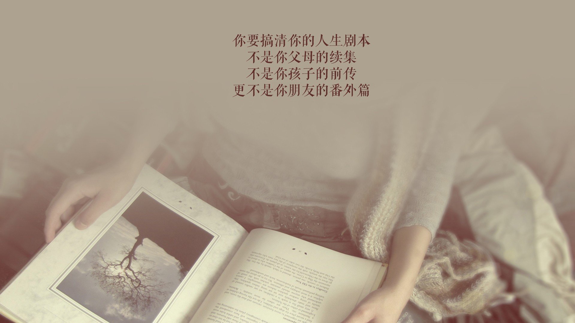 年度焦点之战,勇士踏平森林狼,三分雨浇灭明尼苏达寒夜