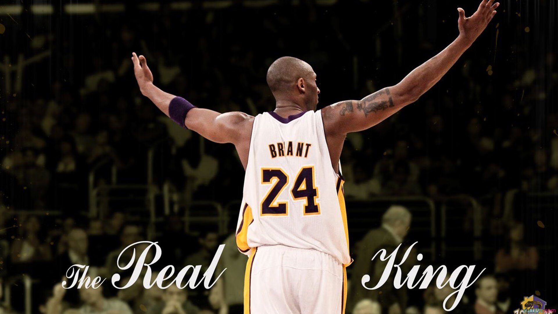 开云足球直播-F1新赛季揭幕战之夜，拉文数据全面爆炸，当赛道轰鸣遇见篮球狂飙